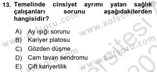Sağlık İşletmelerinde İnsan Kaynakları Yönetimi Dersi 2021 - 2022 Yılı (Final) Dönem Sonu Sınav Soruları 13. Soru