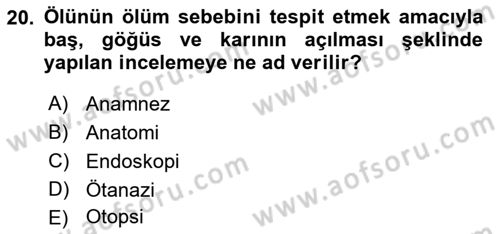 Sağlık İşletmelerinde İnsan Kaynakları Yönetimi Dersi 2021 - 2022 Yılı (Final) Dönem Sonu Sınav Soruları 20. Soru