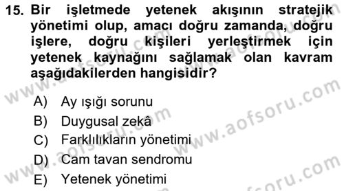 Sağlık İşletmelerinde İnsan Kaynakları Yönetimi Dersi 2022 - 2023 Yılı Yaz Okulu Sınavı 15. Soru