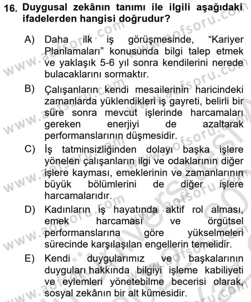 Sağlık İşletmelerinde İnsan Kaynakları Yönetimi Dersi 2022 - 2023 Yılı Yaz Okulu Sınavı 16. Soru