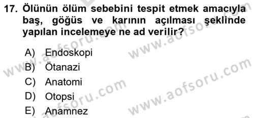 Sağlık İşletmelerinde İnsan Kaynakları Yönetimi Dersi 2023 - 2024 Yılı (Final) Dönem Sonu Sınav Soruları 17. Soru