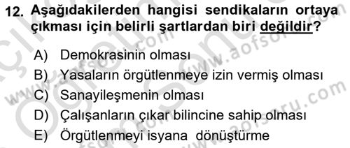 Sağlık İşletmelerinde İnsan Kaynakları Yönetimi Dersi 2024 - 2025 Yılı (Final) Dönem Sonu Sınav Soruları 12. Soru