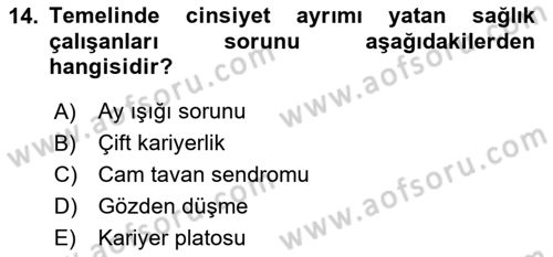 Sağlık İşletmelerinde İnsan Kaynakları Yönetimi Dersi 2024 - 2025 Yılı (Final) Dönem Sonu Sınav Soruları 14. Soru