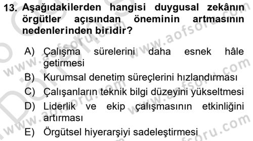 Sağlık İşletmelerinde İnsan Kaynakları Yönetimi Dersi 2025 - 2026 Yılı (Final) Dönem Sonu Sınav Soruları 13. Soru