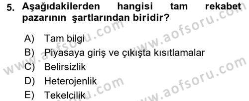 Sağlık Ekonomisi Dersi 2017 - 2018 Yılı (Vize) Ara Sınav Soruları 5. Soru