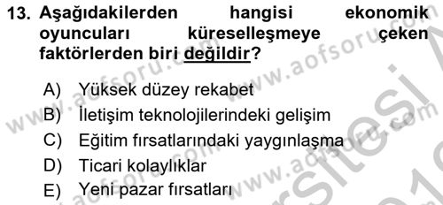Sağlık Ekonomisi Dersi 2018 - 2019 Yılı Yaz Okulu Sınav Soruları 13. Soru