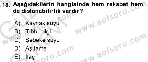 Sağlık Ekonomisi Dersi 2019 - 2020 Yılı (Vize) Ara Sınav Soruları 18. Soru