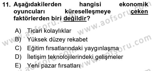 Sağlık Ekonomisi Dersi 2019 - 2020 Yılı (Final) Dönem Sonu Sınav Soruları 11. Soru