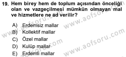 Sağlık Ekonomisi Dersi 2019 - 2020 Yılı Yaz Okulu Sınav Soruları 19. Soru