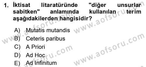 Sağlık Ekonomisi Dersi 2021 - 2022 Yılı (Final) Dönem Sonu Sınavı 1. Soru