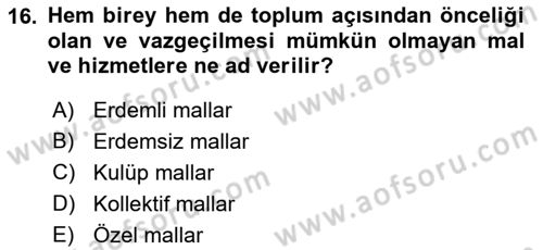 Sağlık Ekonomisi Dersi 2021 - 2022 Yılı (Final) Dönem Sonu Sınavı 16. Soru