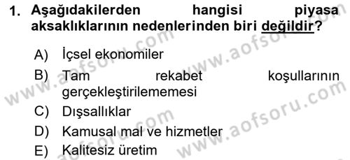 Sağlık Ekonomisi Dersi 2021 - 2022 Yılı Yaz Okulu Sınavı 1. Soru