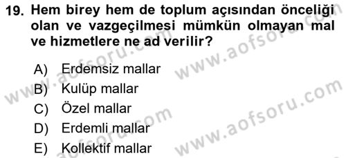 Sağlık Ekonomisi Dersi 2021 - 2022 Yılı Yaz Okulu Sınav Soruları 19. Soru