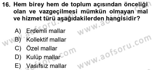 Sağlık Ekonomisi Dersi 2022 - 2023 Yılı Yaz Okulu Sınav Soruları 16. Soru