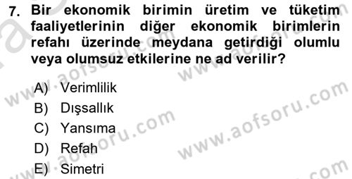 Sağlık Ekonomisi Dersi 2023 - 2024 Yılı (Vize) Ara Sınav Soruları 7. Soru