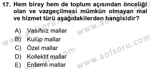 Sağlık Ekonomisi Dersi 2023 - 2024 Yılı (Final) Dönem Sonu Sınavı 17. Soru