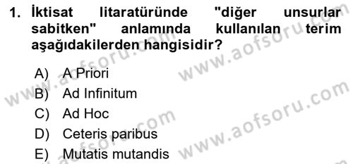 Sağlık Ekonomisi Dersi 2023 - 2024 Yılı Yaz Okulu Sınavı 1. Soru