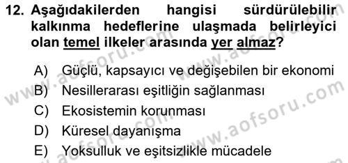 Sağlık Ekonomisi Dersi 2023 - 2024 Yılı Yaz Okulu Sınavı 12. Soru