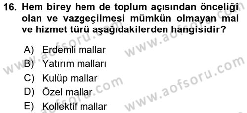 Sağlık Ekonomisi Dersi 2023 - 2024 Yılı Yaz Okulu Sınavı 16. Soru