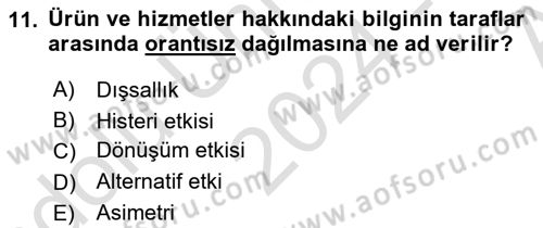 Sağlık Ekonomisi Dersi 2024 - 2025 Yılı (Vize) Ara Sınavı 11. Soru