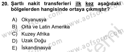 Sağlık Ekonomisi Dersi 2024 - 2025 Yılı (Vize) Ara Sınav Soruları 20. Soru