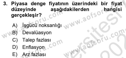 Sağlık Ekonomisi Dersi 2024 - 2025 Yılı (Vize) Ara Sınavı 3. Soru