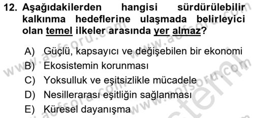 Sağlık Ekonomisi Dersi 2024 - 2025 Yılı (Final) Dönem Sonu Sınav Soruları 12. Soru