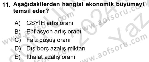 Sağlık Ekonomisi Dersi 2024 - 2025 Yılı Yaz Okulu Sınav Soruları 11. Soru