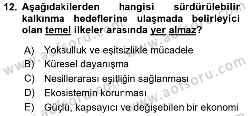 Sağlık Ekonomisi Dersi 2024 - 2025 Yılı Yaz Okulu Sınav Soruları 12. Soru