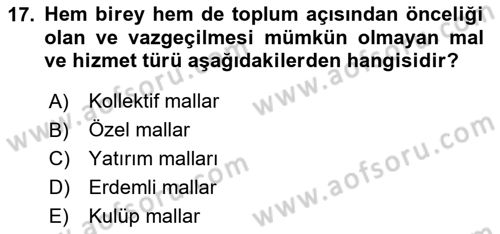 Sağlık Ekonomisi Dersi 2024 - 2025 Yılı Yaz Okulu Sınav Soruları 17. Soru