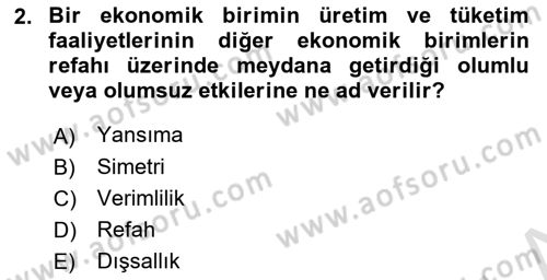 Sağlık Ekonomisi Dersi 2024 - 2025 Yılı Yaz Okulu Sınav Soruları 2. Soru