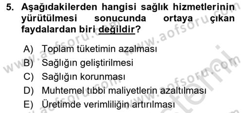 Sağlık Ekonomisi Dersi 2024 - 2025 Yılı Yaz Okulu Sınav Soruları 5. Soru