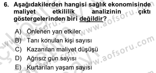 Sağlık Ekonomisi Dersi 2024 - 2025 Yılı Yaz Okulu Sınav Soruları 6. Soru
