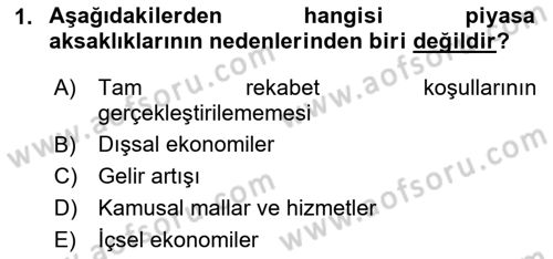 Sağlık Ekonomisi Dersi 2025 - 2026 Yılı (Vize) Ara Sınav Soruları 1. Soru