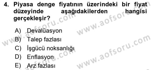 Sağlık Ekonomisi Dersi 2025 - 2026 Yılı (Vize) Ara Sınav Soruları 4. Soru