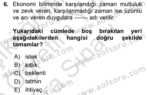 Sağlık Ekonomisi Dersi 2025 - 2026 Yılı (Vize) Ara Sınav Soruları 6. Soru