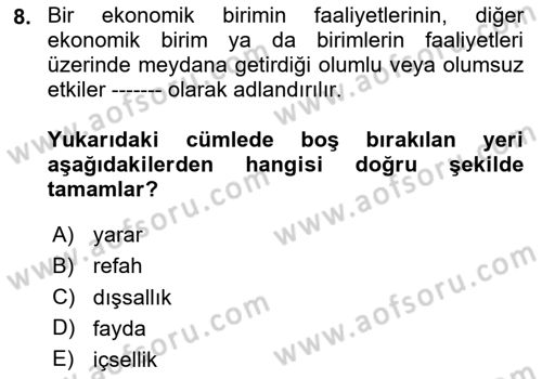 Sağlık Ekonomisi Dersi 2025 - 2026 Yılı (Vize) Ara Sınav Soruları 8. Soru