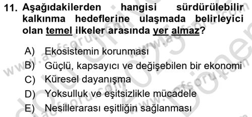 Sağlık Ekonomisi Dersi 2025 - 2026 Yılı (Final) Dönem Sonu Sınav Soruları 11. Soru