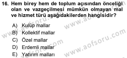 Sağlık Ekonomisi Dersi 2025 - 2026 Yılı (Final) Dönem Sonu Sınav Soruları 16. Soru