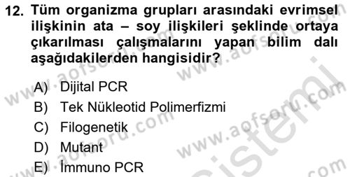 Genel Tıbbi Ürün Ve Tıbbi Cihaz Bilgisi Dersi 2021 - 2022 Yılı Yaz Okulu Sınav Soruları 12. Soru