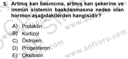 Sağlık Kurumlarında Afet Ve Kriz Yönetimi Dersi 2024 - 2025 Yılı (Final) Dönem Sonu Sınav Soruları 5. Soru