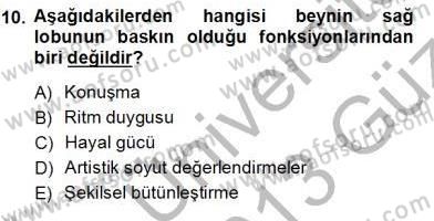 Çocuk Ruh Sağlığı Dersi 2012 - 2013 Yılı (Vize) Ara Sınav Soruları 10. Soru
