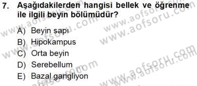 Çocuk Ruh Sağlığı Dersi 2012 - 2013 Yılı (Vize) Ara Sınav Soruları 7. Soru