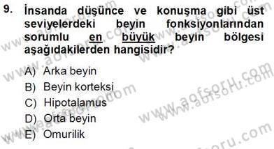 Çocuk Ruh Sağlığı Dersi 2012 - 2013 Yılı (Vize) Ara Sınav Soruları 9. Soru