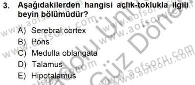 Çocuk Ruh Sağlığı Dersi 2012 - 2013 Yılı (Final) Dönem Sonu Sınav Soruları 3. Soru