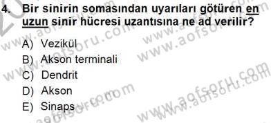 Çocuk Ruh Sağlığı Dersi 2012 - 2013 Yılı (Final) Dönem Sonu Sınav Soruları 4. Soru