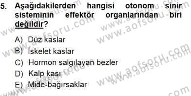 Çocuk Ruh Sağlığı Dersi 2012 - 2013 Yılı (Final) Dönem Sonu Sınav Soruları 5. Soru