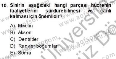 Çocuk Ruh Sağlığı Dersi 2013 - 2014 Yılı (Vize) Ara Sınav Soruları 10. Soru