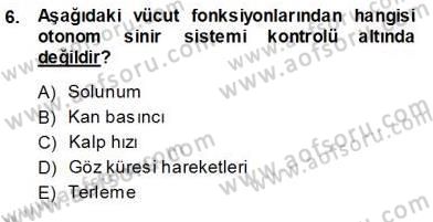 Çocuk Ruh Sağlığı Dersi 2013 - 2014 Yılı (Vize) Ara Sınav Soruları 6. Soru