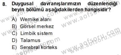 Çocuk Ruh Sağlığı Dersi 2013 - 2014 Yılı (Vize) Ara Sınav Soruları 8. Soru